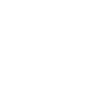 ТОО «Arseo»