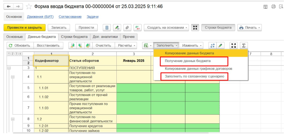 Форма ввода бюджета в БИТ.ФИНАНС Форма ввода бюджета в БИТ.ФИНАНС